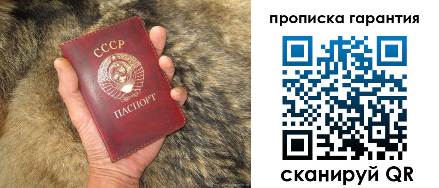 временная регистрация гарантия в Кувшиново